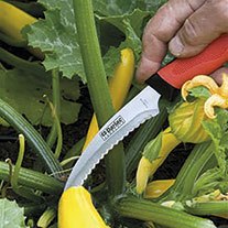 Darlac Asparagus and Harvesting Knife