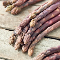 Asparagus Burgundine Crowns