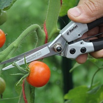 Darlac Compact Snips