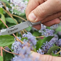 Darlac Budding Knife