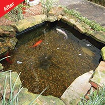 Viresco Aqua Pond Clear Including Free Nitrate Test Kit