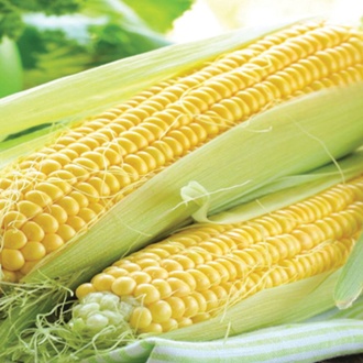 Image of Sweetcorn vegetable seeds