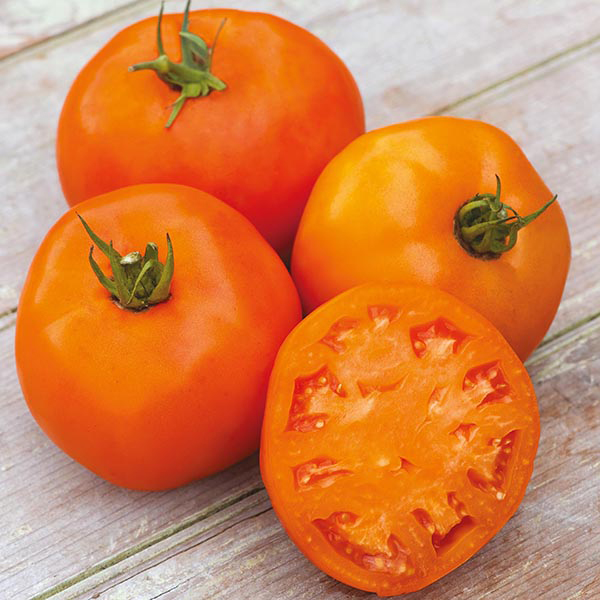 Tomato (Beefsteak) Orange Slice F1 Seeds from Mr Fothergill's Seeds and