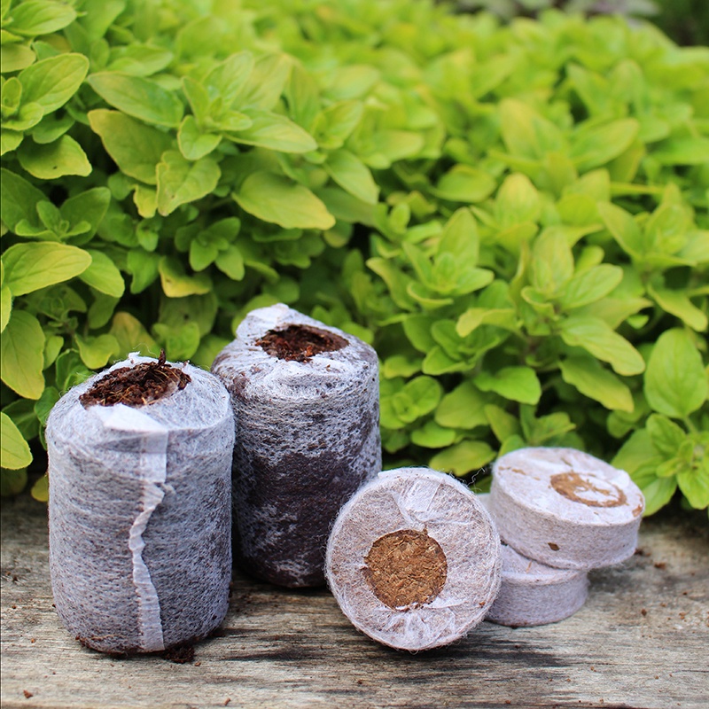 Coco Grow Pure Coir Seed Germination Dots From Mr