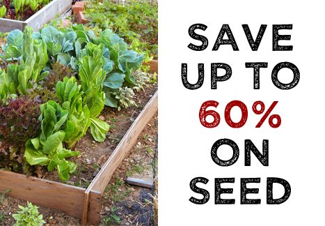 Save up to 60% on seed