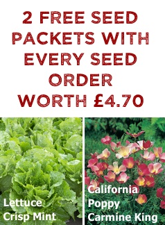 FREE Seed worth £4.70 FREE Seed worth £4.70