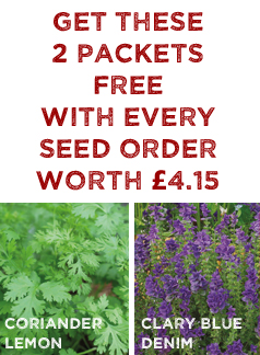 FREE Seed worth £4.15 FREE Seed worth £4.15
