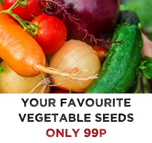 99p Vegetable Seeds