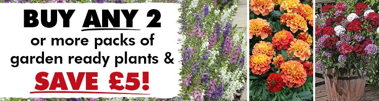 Garden Ready Plug Plants