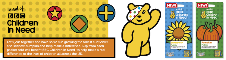BBC Children in Need