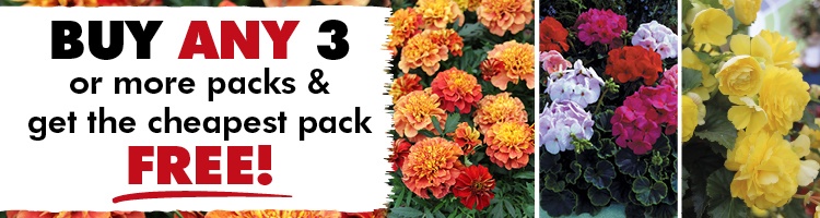 Garden Ready Plants