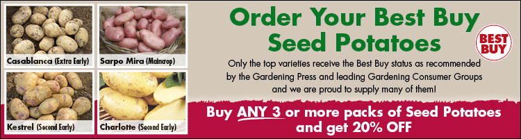 Seed Potatos