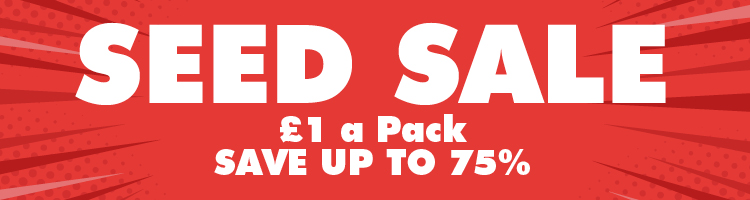 £1 Seed SALE