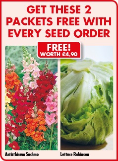 FREE Seed worth £4.90 FREE Seed worth £4.90