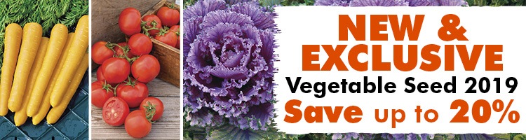 New and Exclusive Vegetable Seeds